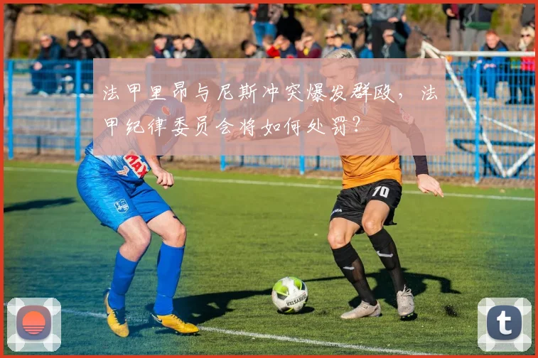 法甲里昂与尼斯冲突爆发群殴,法甲纪律委员会将如何处罚?